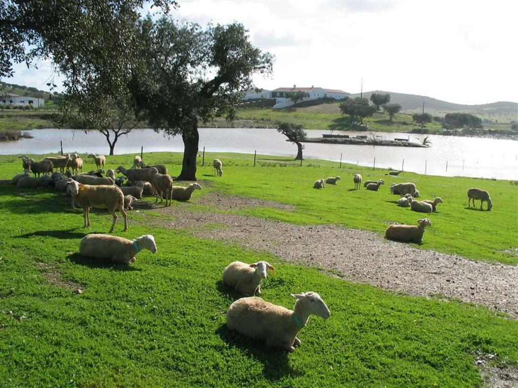 Casa Dos Moinhos Velhos Villa Brinches Dış mekan fotoğraf